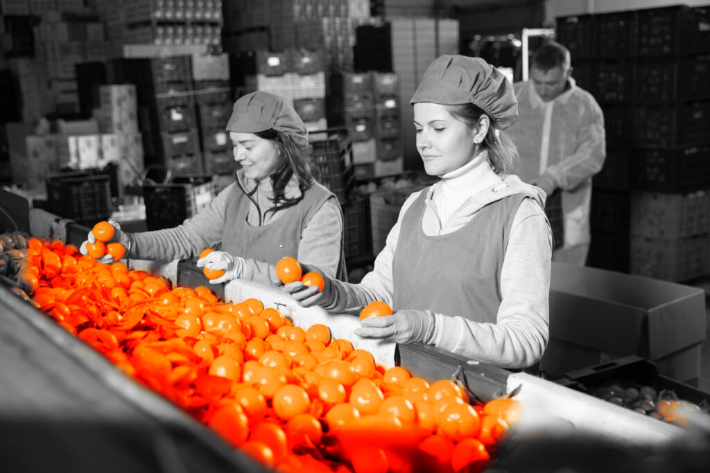 Fruit sorting Djops jobs
